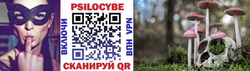 Псилоцибиновые грибы Psilocybe  МЕГА зеркало  Туапсе 
